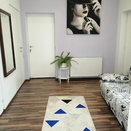トゥルダViolet Houseアパートメント エクステリア 写真